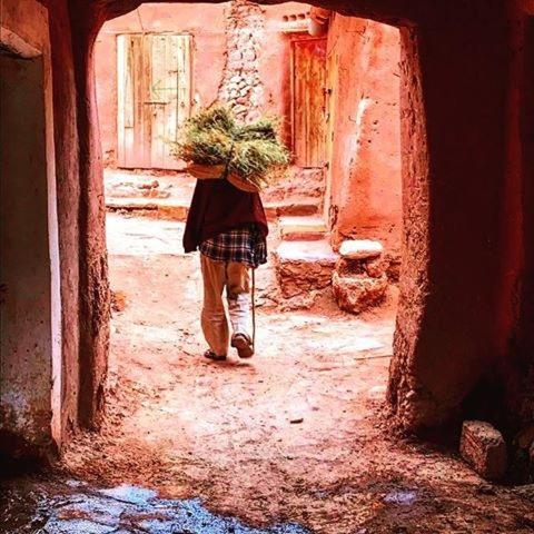 Отель Kasbah Tiriguioute Скура Экстерьер фото