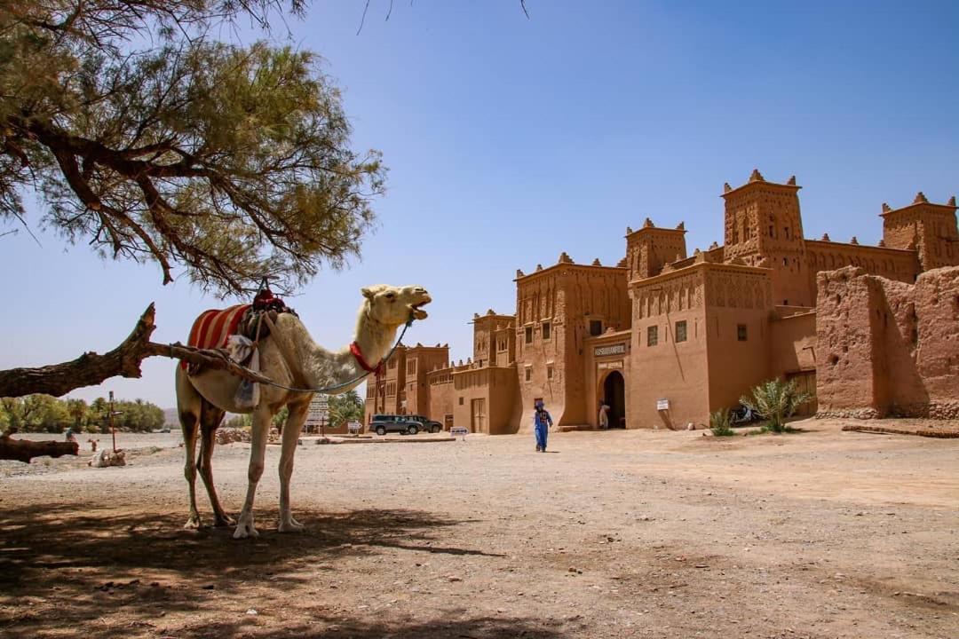 Отель Kasbah Tiriguioute Скура Экстерьер фото
