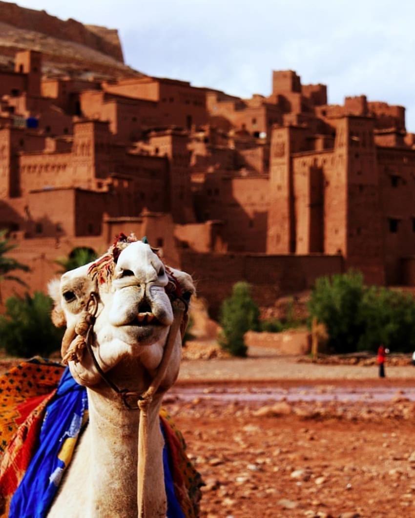 Отель Kasbah Tiriguioute Скура Экстерьер фото